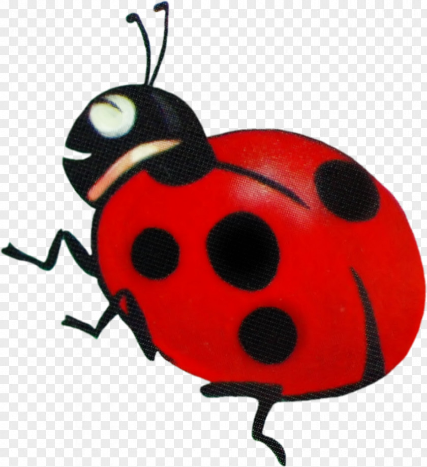 Beetle Ladybird La Mariquita Clip Art PNG