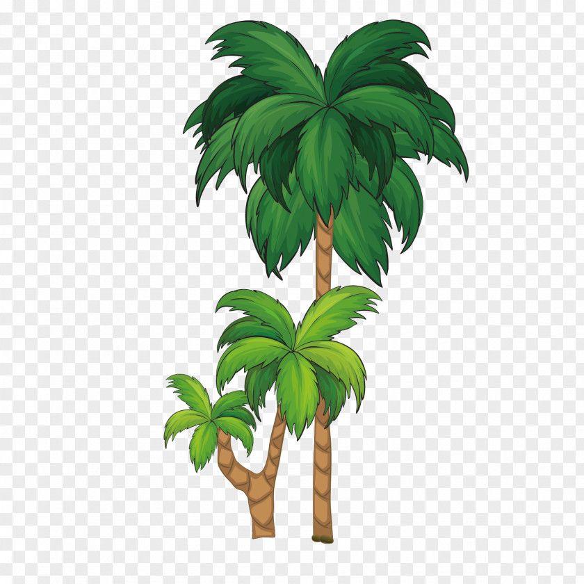 Coconut Tree Free Download Arecaceae Royalty-free Illustration PNG
