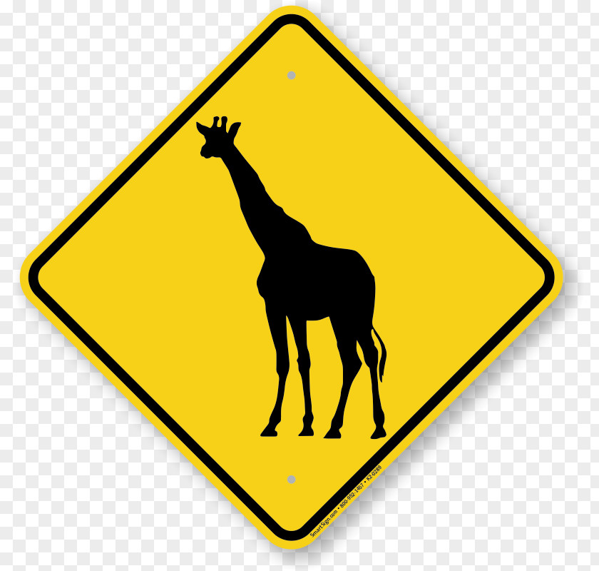 Cross The Road Giraffe Kruger National Park Sign Okapi Leopard PNG