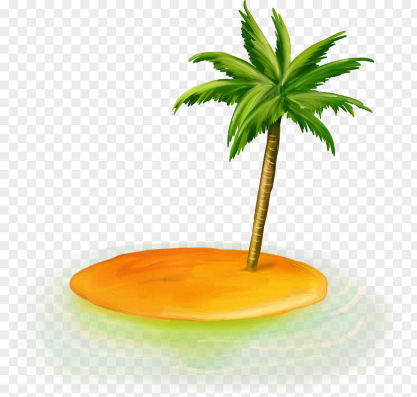 Date Palm Arecaceae Sea Clip Art PNG
