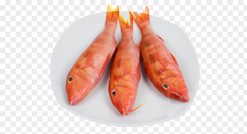 Fish Red Mullet Seafood Upeneichthys PNG