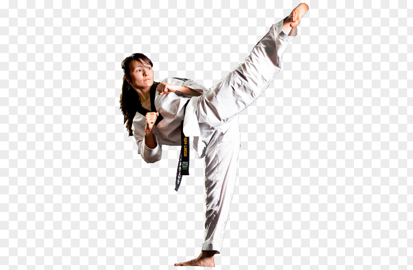 Karate Dobok Korea Taekwondo Martial Arts PNG