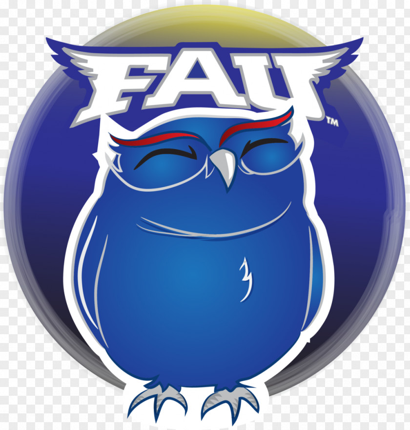 Owl Florida Atlantic Owls Football University Baseball Women's Basketball PNG