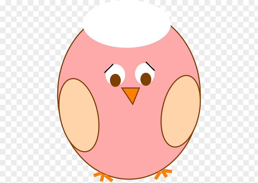 Plain Owl Clip Art Vector Graphics Image Bird PNG