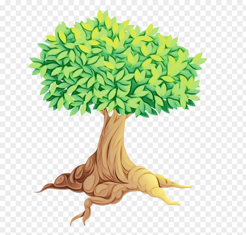 Royalty-free Tree Vector Drawing PNG
