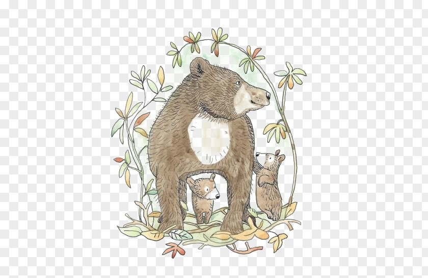 Brown Bear Raccoon Illustrator Illustration PNG