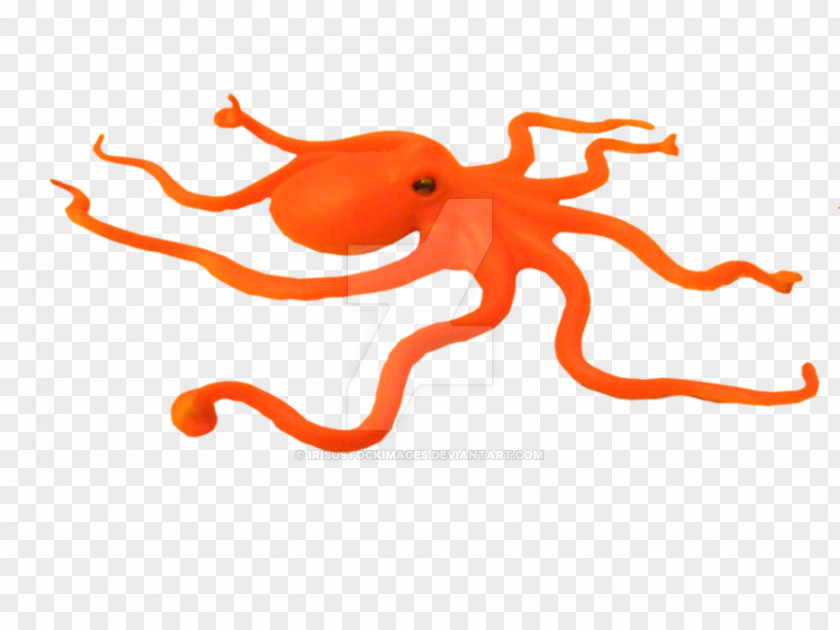 Enteroctopus Dofleini Cephalopod Clip Art PNG