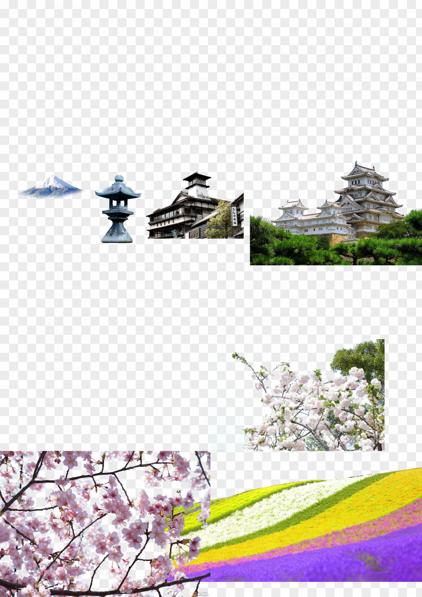 Japan Landscape Graphic Design Icon PNG