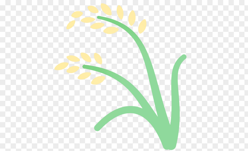 Leaf Plant Stem Logo Meter Petal PNG