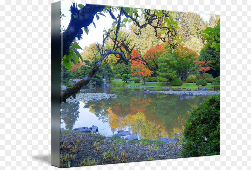 Painting Fish Pond Water Resources Landscape Garden Vegetation PNG