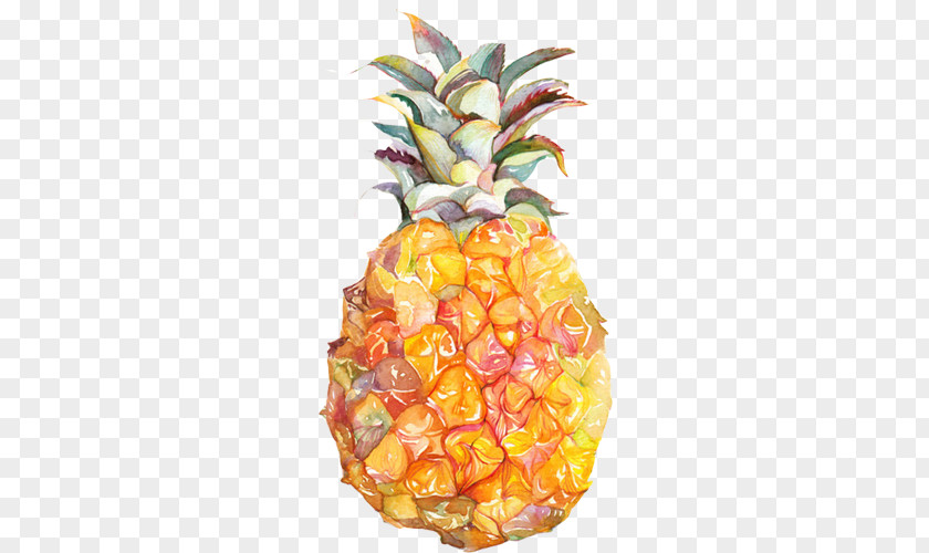 Pineapple Hand Painting Material Picture Tea Watercolor Food PNG