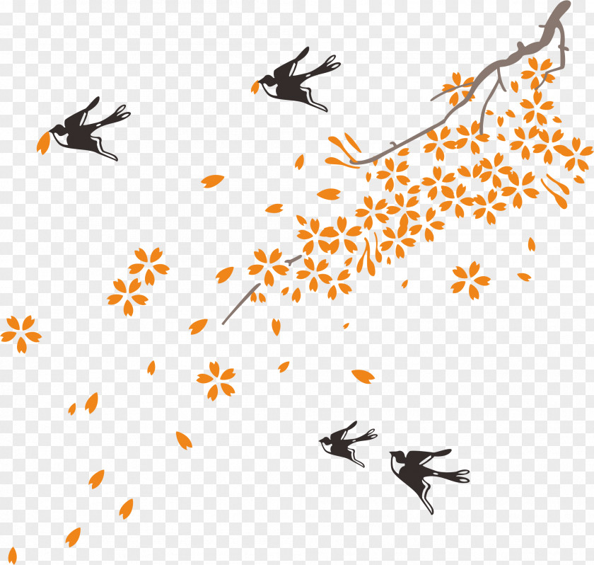 Birds Barn Swallow Bird Clip Art PNG