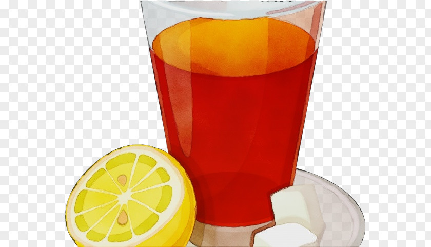 Cocktail Garnish Sour Lemon Drawing PNG