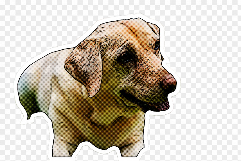 Dog Rhodesian Ridgeback Sporting Group Labrador Retriever Hound PNG