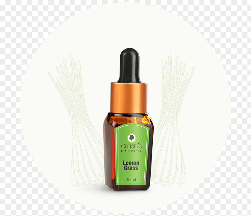 Lemon Tree Watercolor Organic Harvest LAVENDER Essential Oil 10 Ml Ayur Product In Combo Tea Orange PNG