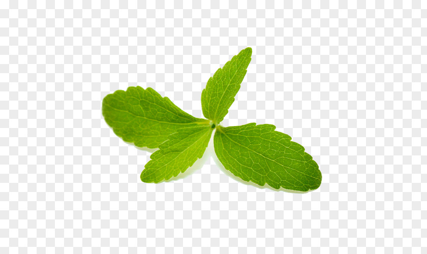 Stevia Rebaudioside A Extract Sugar Substitute Calorie PNG