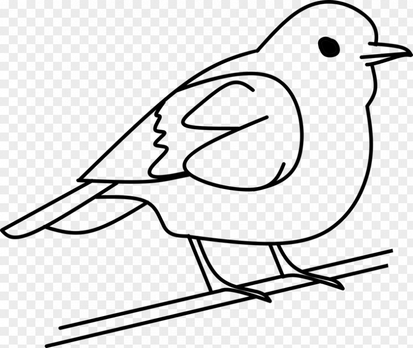 Bird Drawing Clip Art PNG