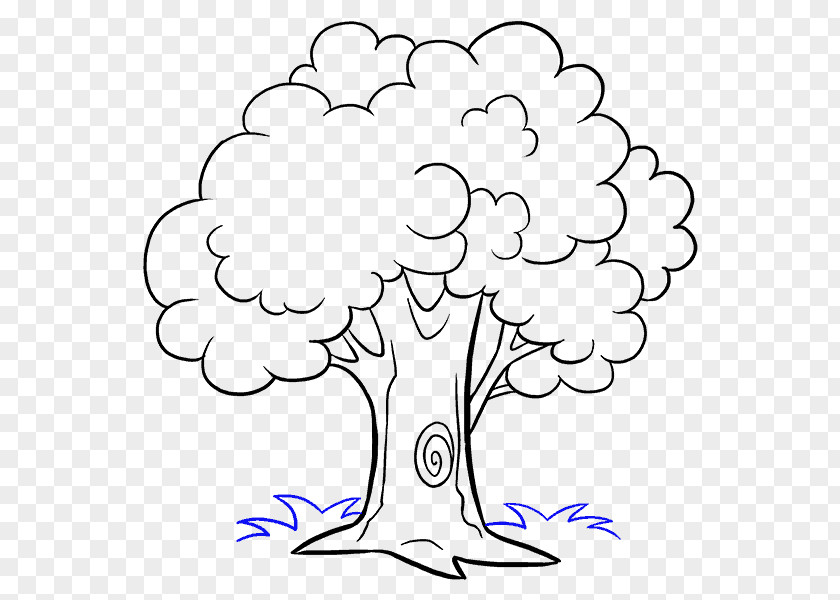 Cartoon Tree How To Draw Trees Drawing Sketch PNG
