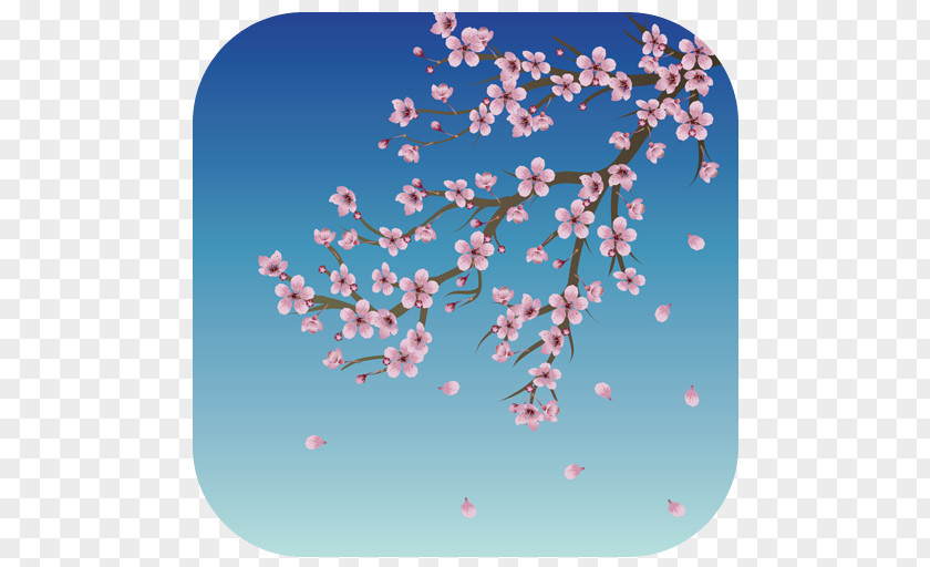 Cherry Blossom Kyoto PNG