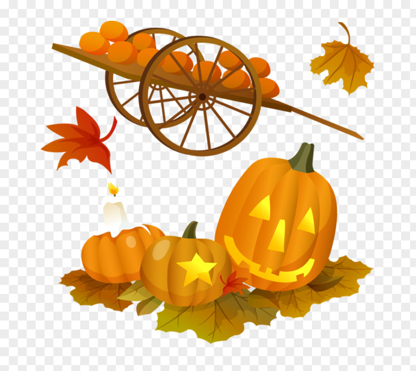 Creative Halloween Pumpkin Jack-o-lantern Clip Art PNG