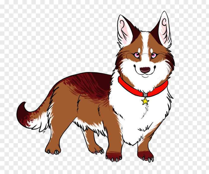 Dog Breed Red Fox Whiskers Snout PNG