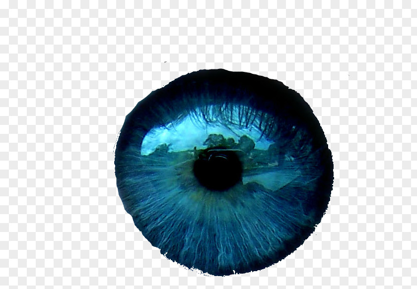 Eye Color Blue PNG