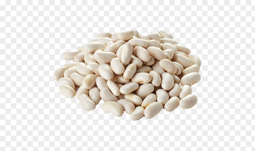 Health Dal Bean Food Protein Legume PNG