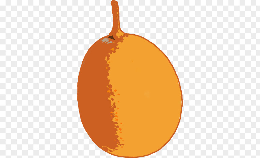 Pumpkin Winter Squash Calabaza Cucurbita Mandarin Orange PNG