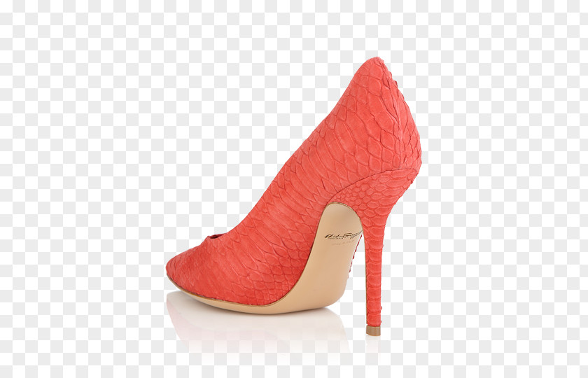 Salvatore Ferragamo Spa Heel Shoe PNG