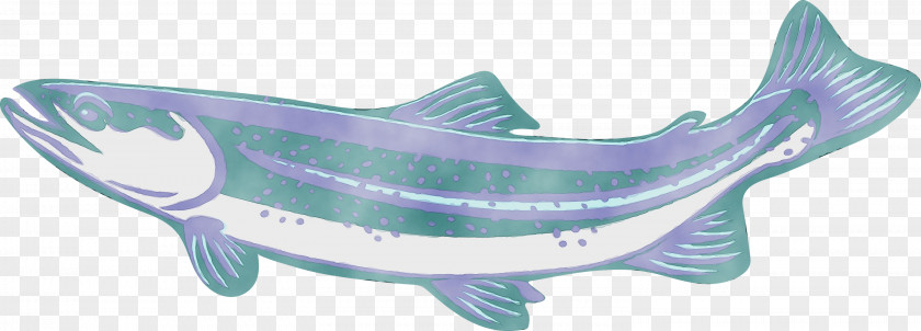 Soap Dish Fish PNG