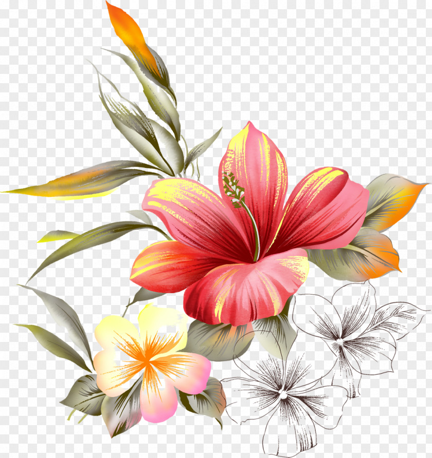 Watercolor Painting Flower Picture Frames PNG