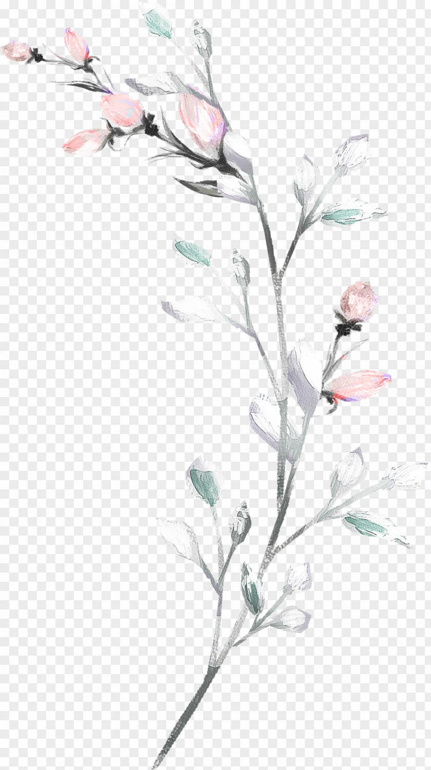 Wildflower Blossom Watercolor Flower Background PNG