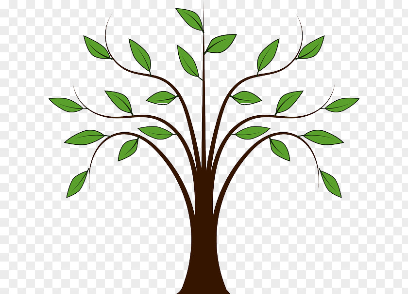 Autumn Forest Tree Clip Art PNG