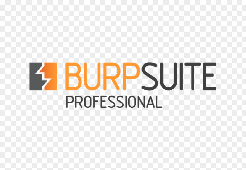 Burp Suite Penetration Test Vulnerability Proxy Server Installation PNG