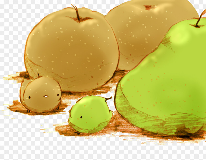 Fruit Chick Food Granita Animation Dessert Illustration PNG