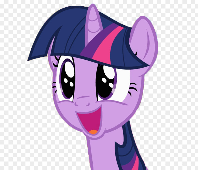 I Dont Know Twilight Sparkle Rarity Pony Applejack Spike PNG