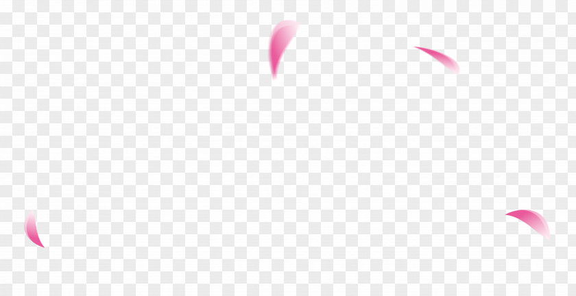 Pink Petals Floating Flying Free Material Sky Petal Close-up Lip Wallpaper PNG