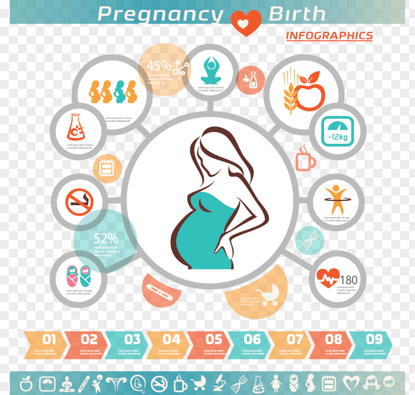 Cartoon Pregnant Women Vector Material Pregnancy Infographic Woman Icon PNG