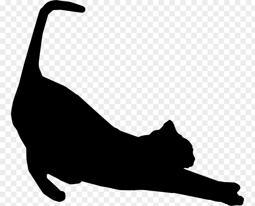 Cat Protection Society Of Victoria Silhouette Kitten Stretching PNG