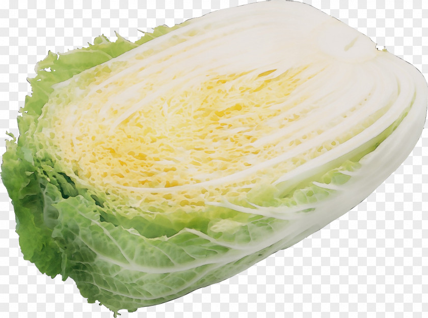 Leaf Vegetable Romaine Lettuce Cabbage Food Iceburg Savoy PNG