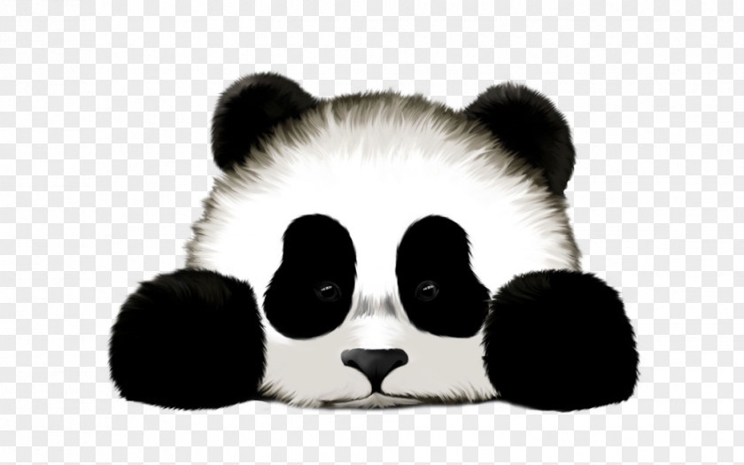 Panda Giant Red T-shirt Cuteness Drawing PNG