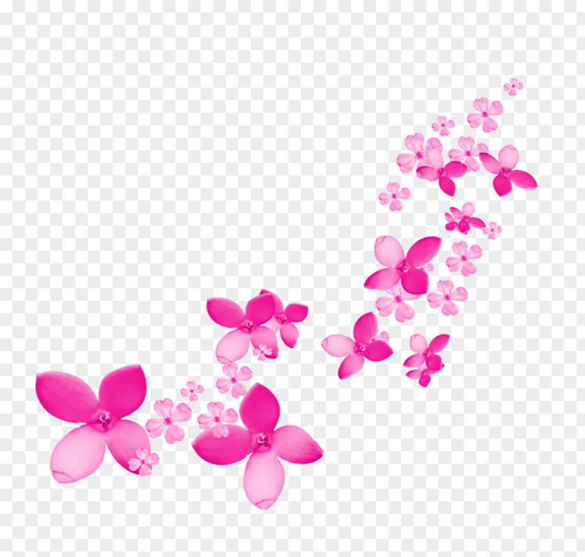 Plum Drift Flower Clip Art PNG