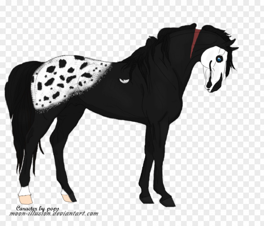 Skull Monster Mustang Stallion Pony PNG