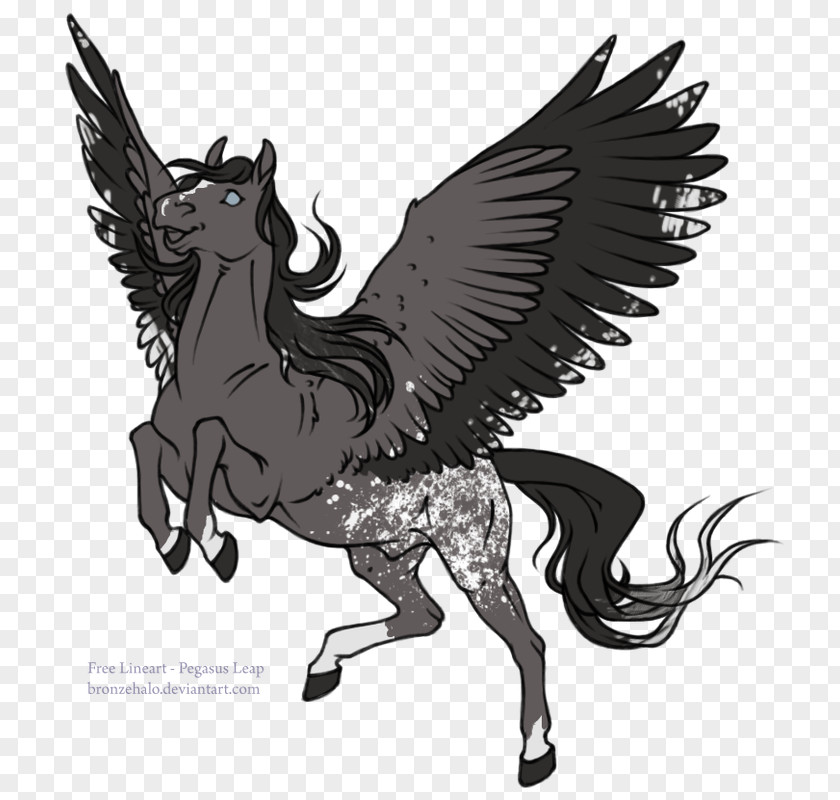 Sunset Flyer Horse Pegasus Line Art Drawing Unicorn PNG