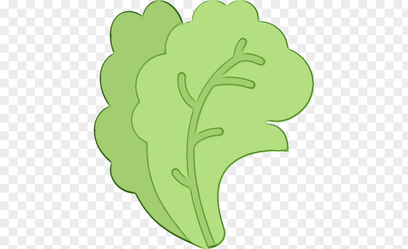 Symbol Vegetable Green Leaf Background PNG