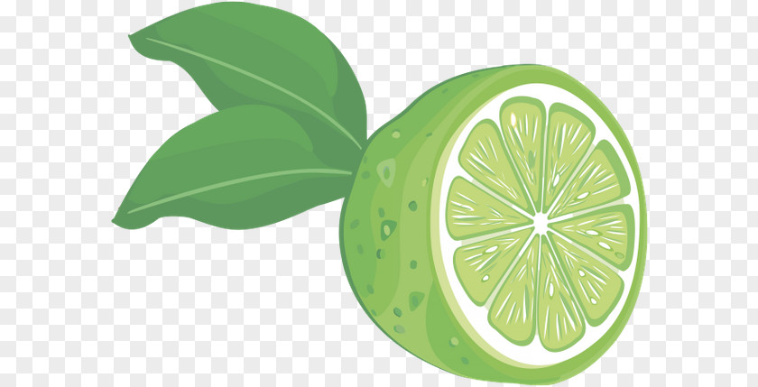 Lemon Fruit Clip Art PNG