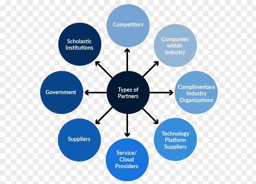 Types Of Governance Structure Application Software Programming Language Diagram PNG