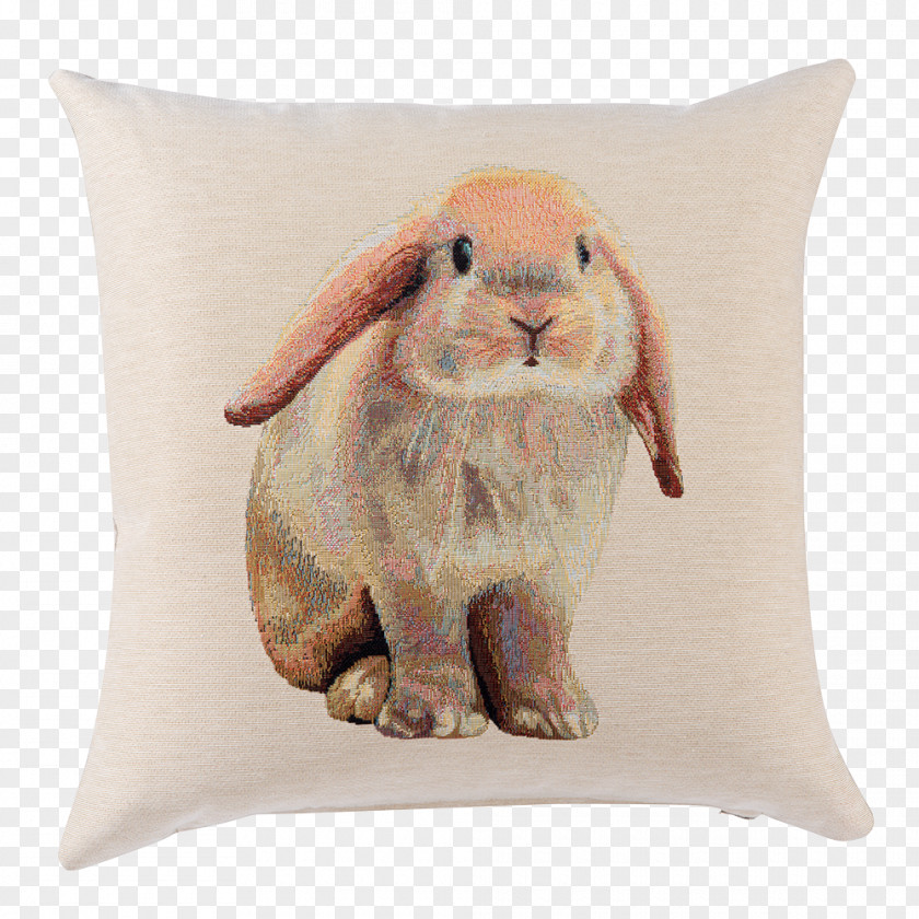 Christmas Toys Rabbit Ears Cushion Pillow Domestic Carpet Kilim PNG