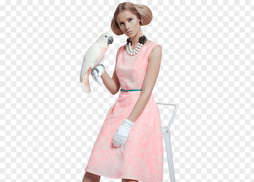 Dress Cocktail Fashion Sleeve PNG