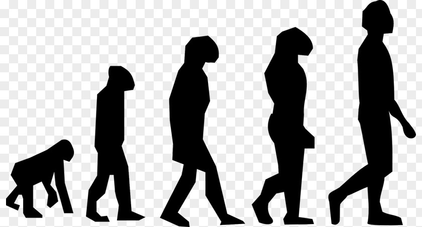 Hui Culture March Of Progress Homo Sapiens Ape Human Evolution PNG
